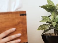 Dark Wood Tissue Dispenser - Square