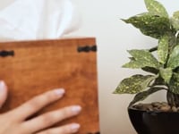 Natural Mango Wood Tissue Dispenser - Square