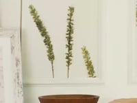Carved Side-Footed Natural Acacia Bowl
